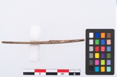 Foto von Beingerät (NHMW-PRAE-003495)